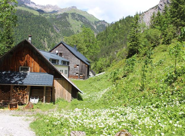 Exkursion Naturwaldreservat und traditionelle Alpwirtschaft im Gadental